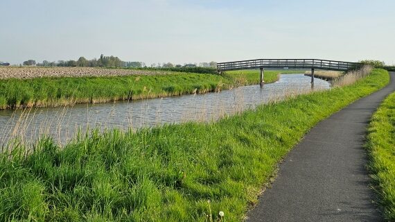 Ook tijdens het tweede deel van de wandeling was het genieten geblazen van het Groninger landschap.