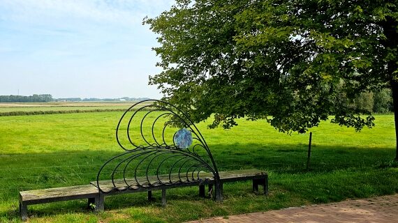 Genieten van een prachtig uitzicht over Het Hogeland aan de rand van de nagenoeg ongeschonden wierde van Warffum.