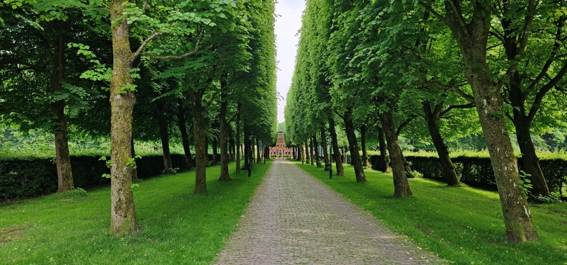 De oprijlaan van de Menkemaborg, met dubbele rijen lindebomen.